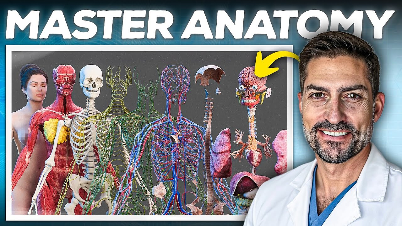 Master Anatomy Smarter, Not Harder &ndash; Stop Memorizing Random Parts!