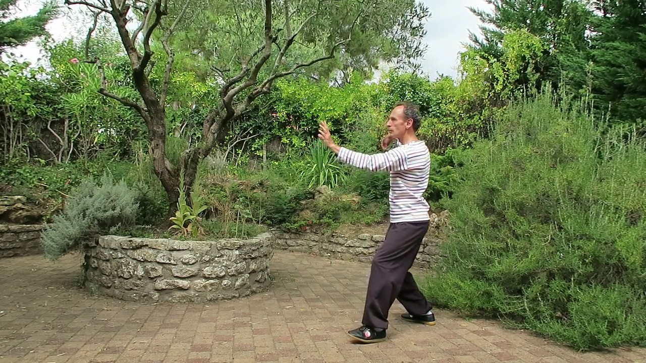 Tai Chi Chuan - Style Yang  - 1ère partie :  La Terre