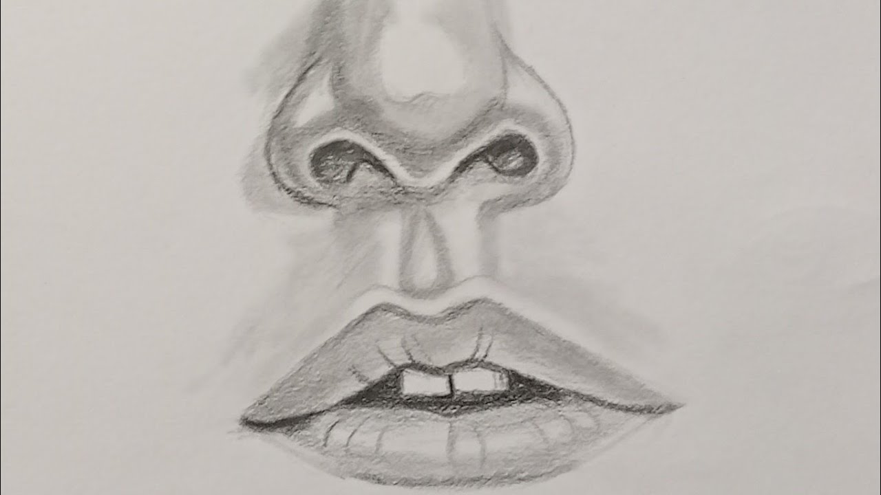 Nose and lips drawing tutorial