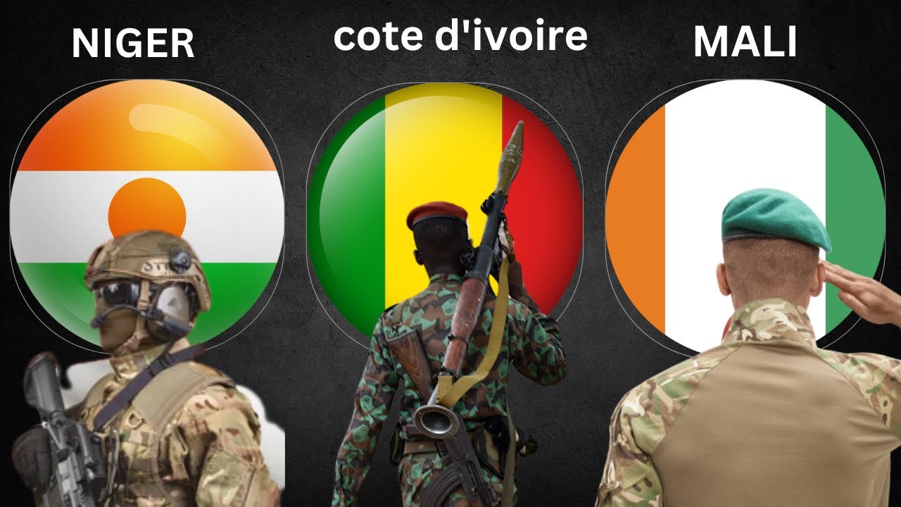 Niger vs Mali vs Cote d'ivoire Military Power Comparison 2025