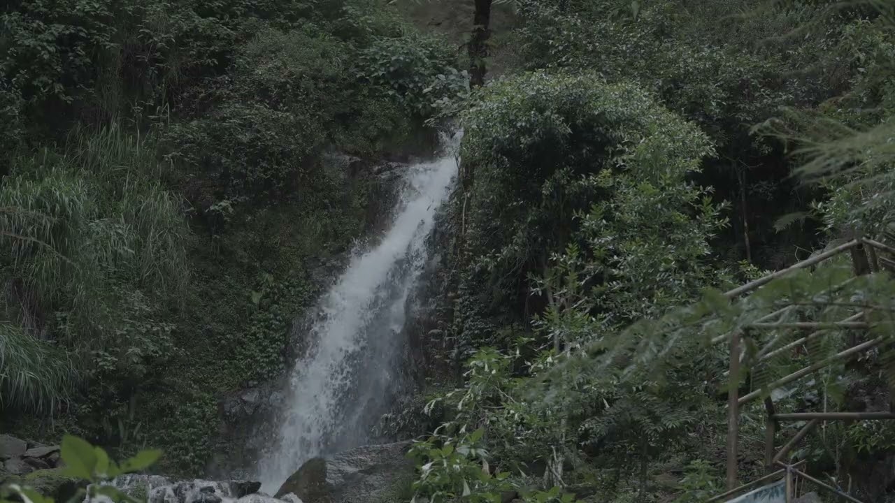 Deep sleep meditation with soothing river sounds and white noise therapy