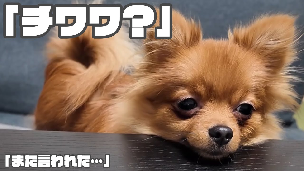 最近どこ行っても〇〇○って言われて困ってます