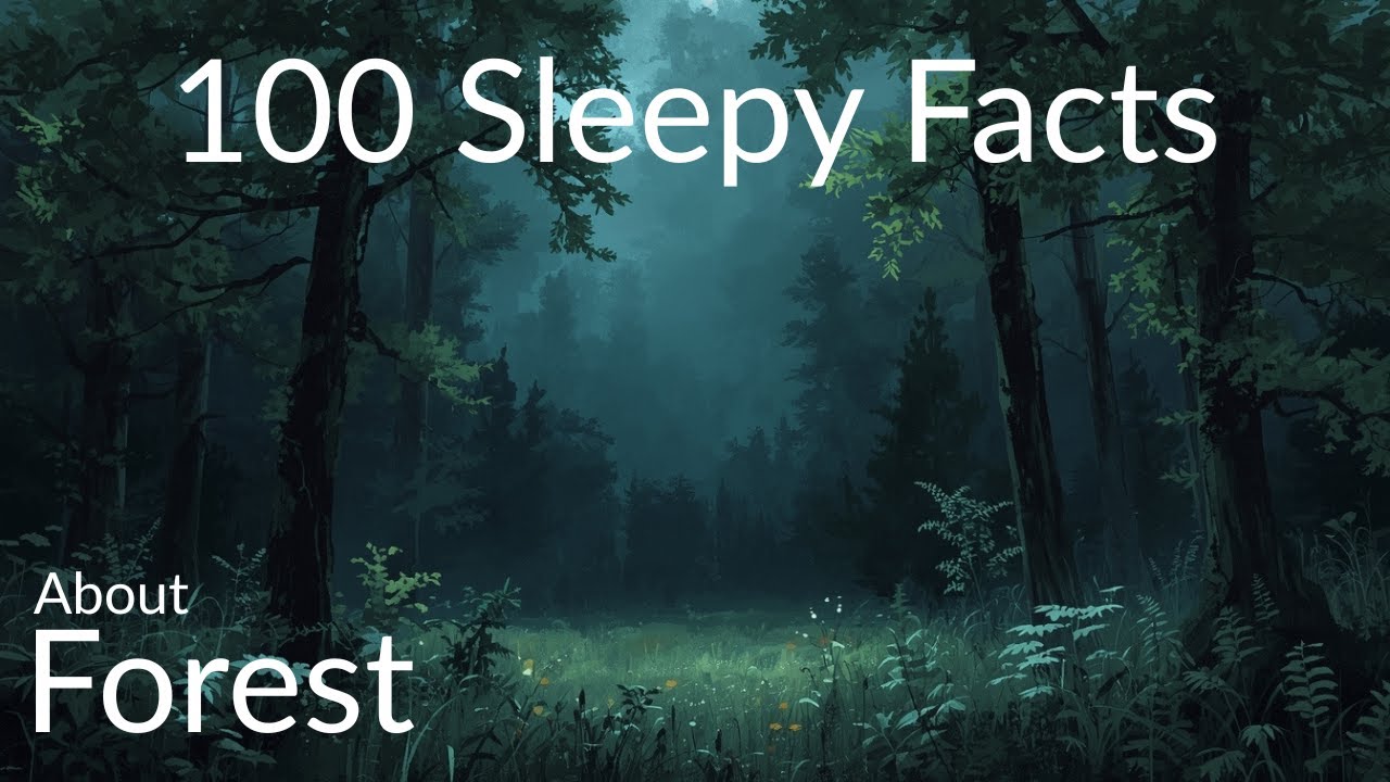 The most relaxing facts about forest to fall asleep to