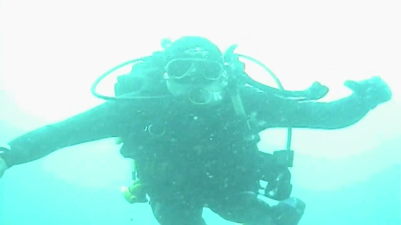 Diving with Tim M. and Jim S.