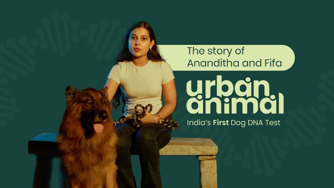 The Story Of Ananditha and Fifa | Urban Animal | India's First Dog DNA Test Kit