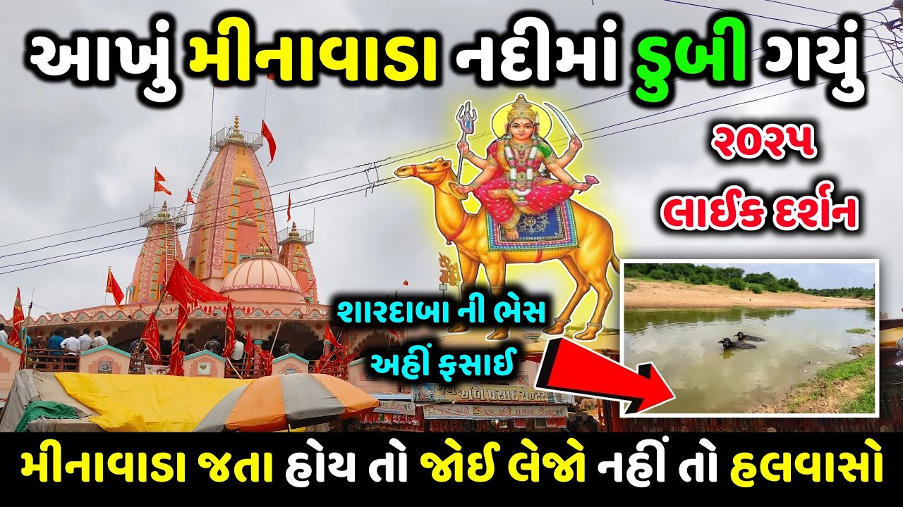 મીનાવાડા દશામા નો મોટો ચમત્કાર 😱|| દશામા મંદિર મીનાવાડા ૨૦૨૫ || Minavada dashama Mandir|| #minavada 