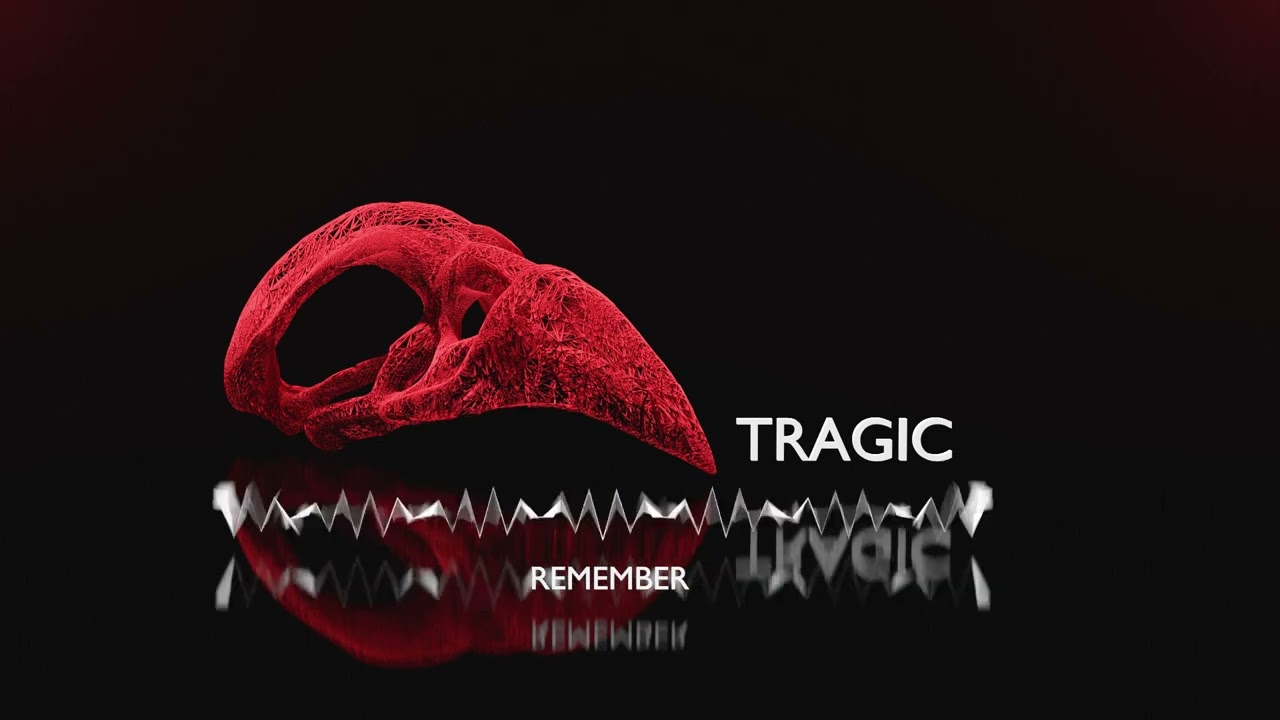 Remember -  [OFFICIAL VISIUALIZER]