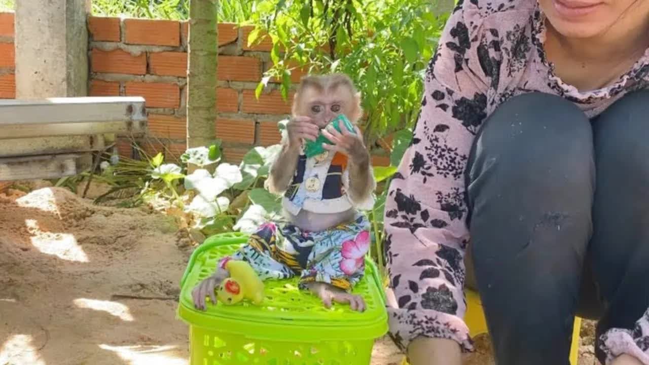 Lil Cutie LIORA Just Minding Her Business Playing With Toy And Doesn't Interrupt Mom Washing Clothes