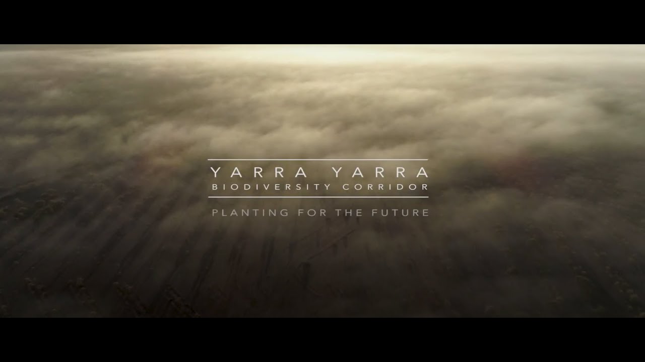 Yarra Yarra Biodiversity Corridor - Planting for the Future | Carbon Neutral