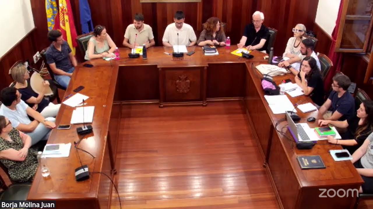Ple ordinari