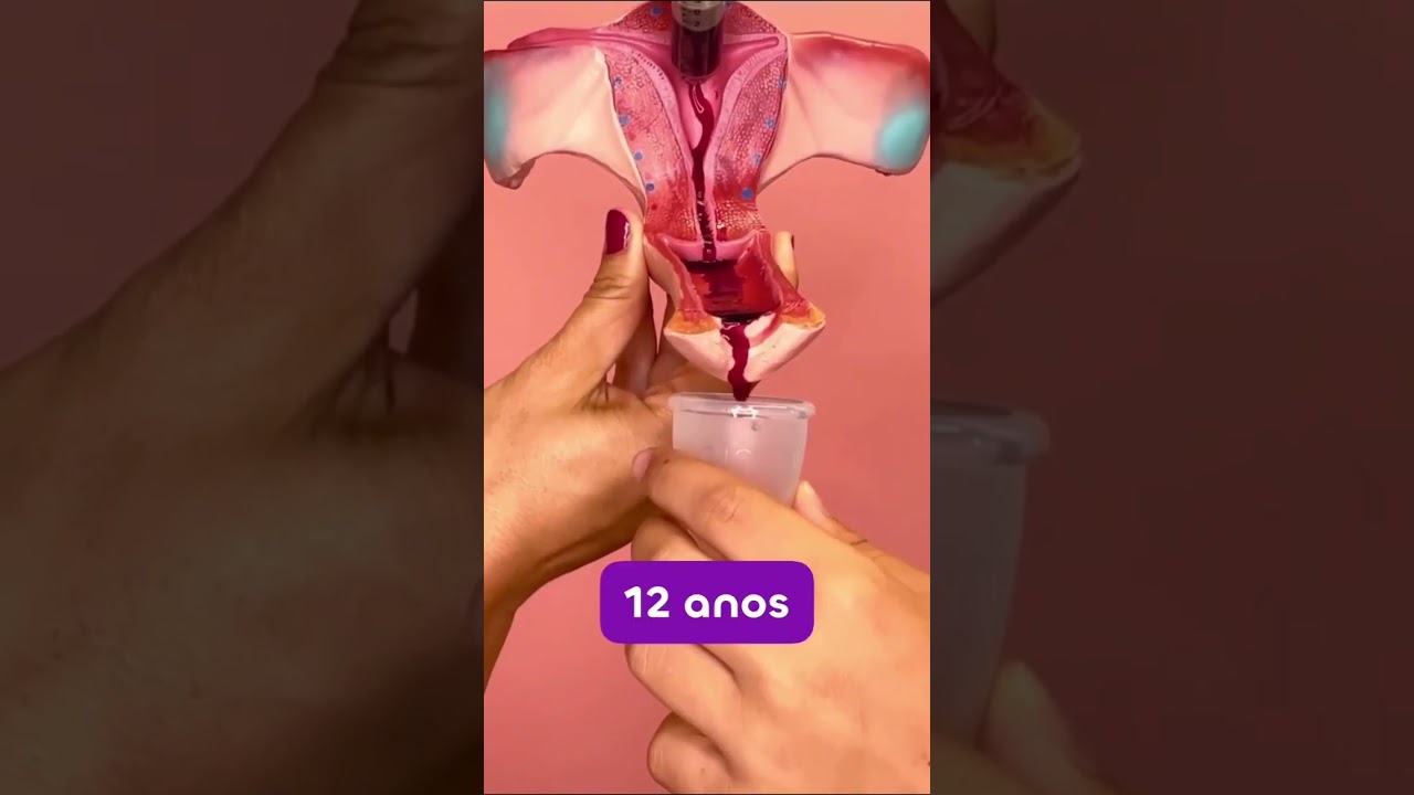 Menstrua&ccedil;&atilde;o - Tempo Menstrual
