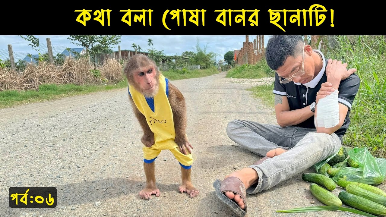 ওদের বন্ধুত্ব দেখলে কাঁদতে বাধ্য হবেন আপনিও | Is he a Robot Monkey ? মায়াজাল | পর্ব:০৬
