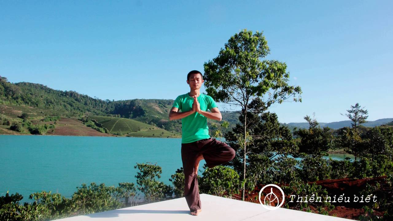 Sư Minh Niệm || Đến Bao Giờ Mới Sống || chùa Hoa Nghiêm, Hoa Kỳ || 03.03.2013