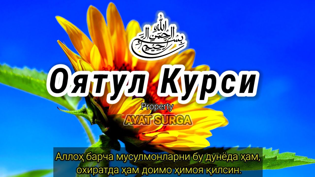 Аятуль Курси | Мирное сердце и разум