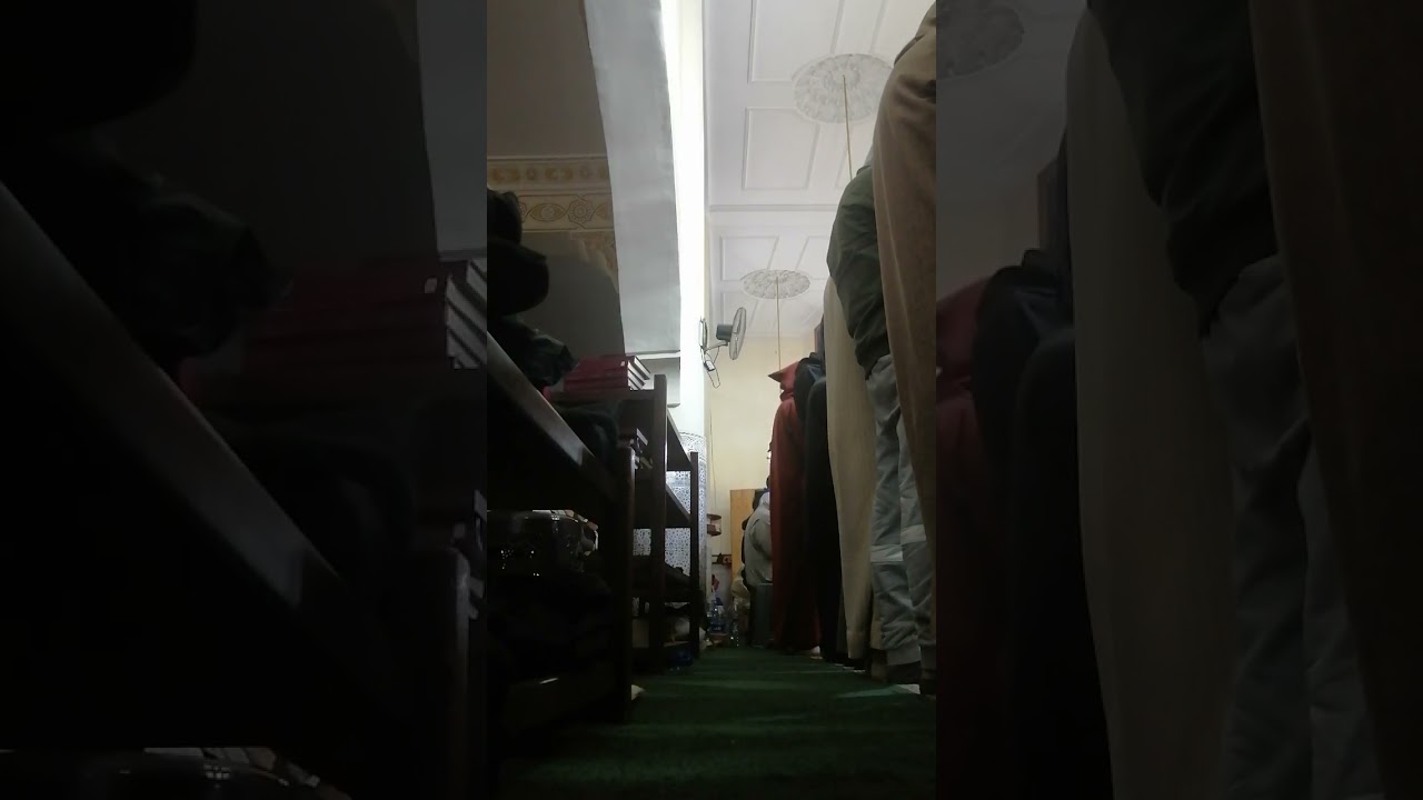 ليس لوعتها كاذبه خافضه راعه اذا رزت الارض رشا/.. مسجد الهداية,,, 26 رمضان محمد مرجاني