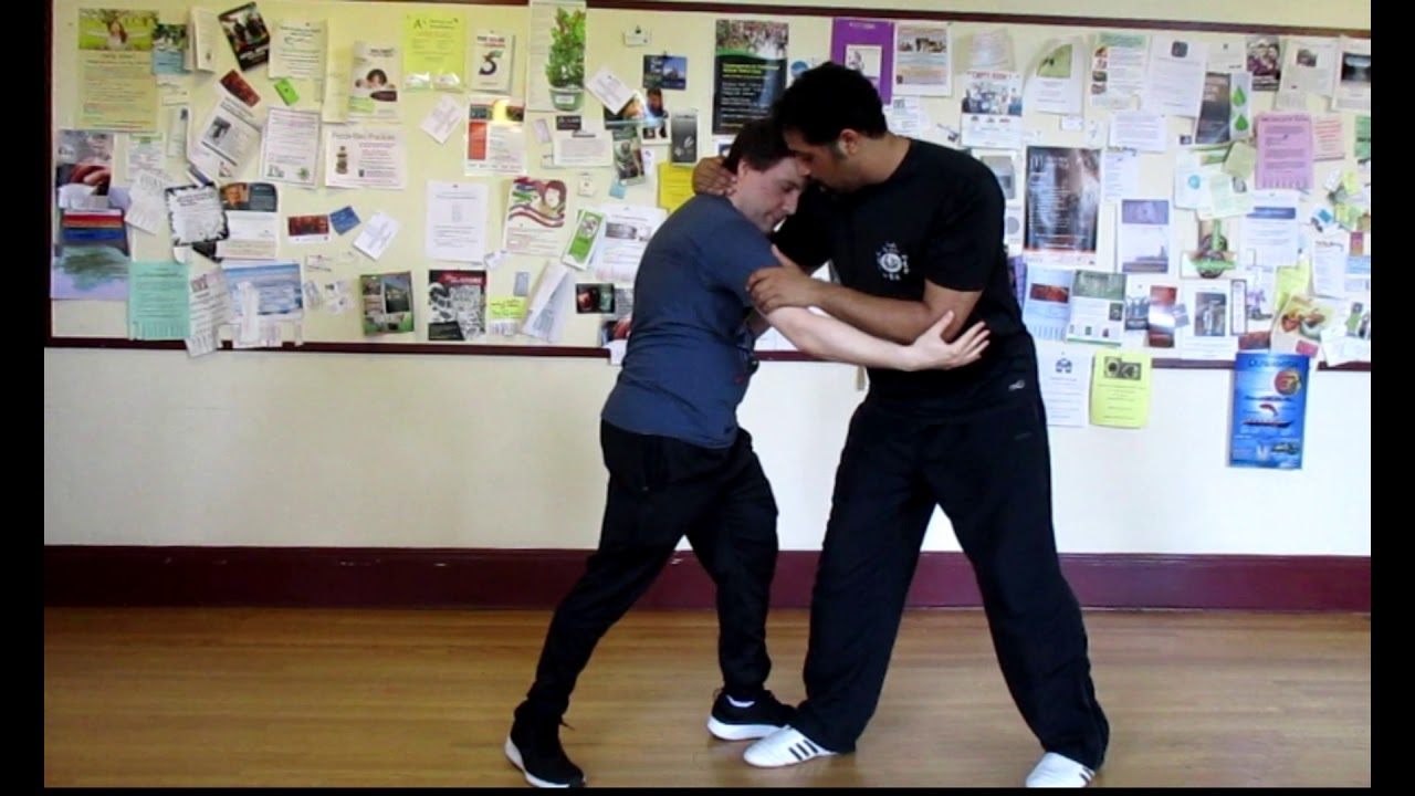 The White Crane Technique of Xing Yi