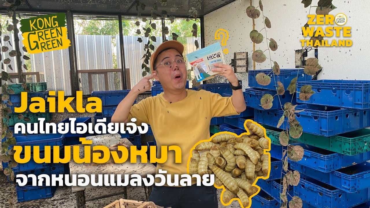 บุกฟาร์มหนอน ของ Jaikla ขนมน้องหมากู้โลก! l ZERO WASTE THAILAND [KongGreenGreen]