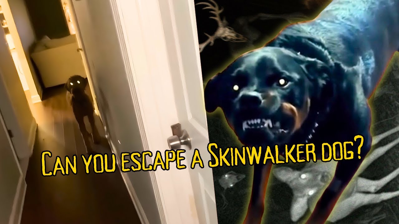 How to Escape a Skinwalker Dog Explained in 13 Minutes 🤯 