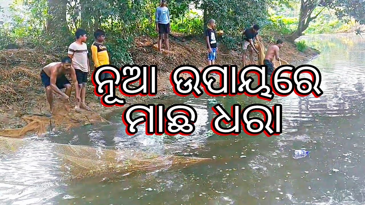 ନୂଆ ଉପାୟରେ ମାଛ ଧରା || Nua Upayare Macha Dhara || Fishing video || village Fishing || Fish Hunting 