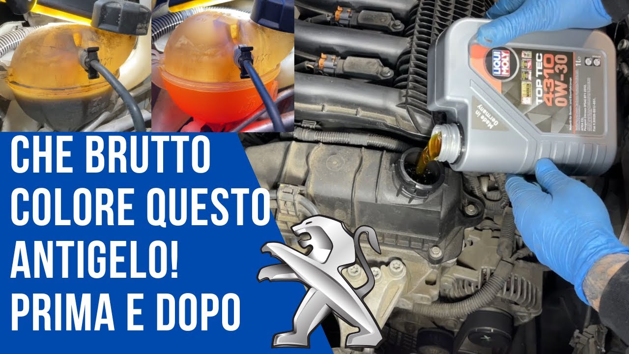 Citroen C3 tagliando + azzeramento service, pulizia impianto acqua motore
