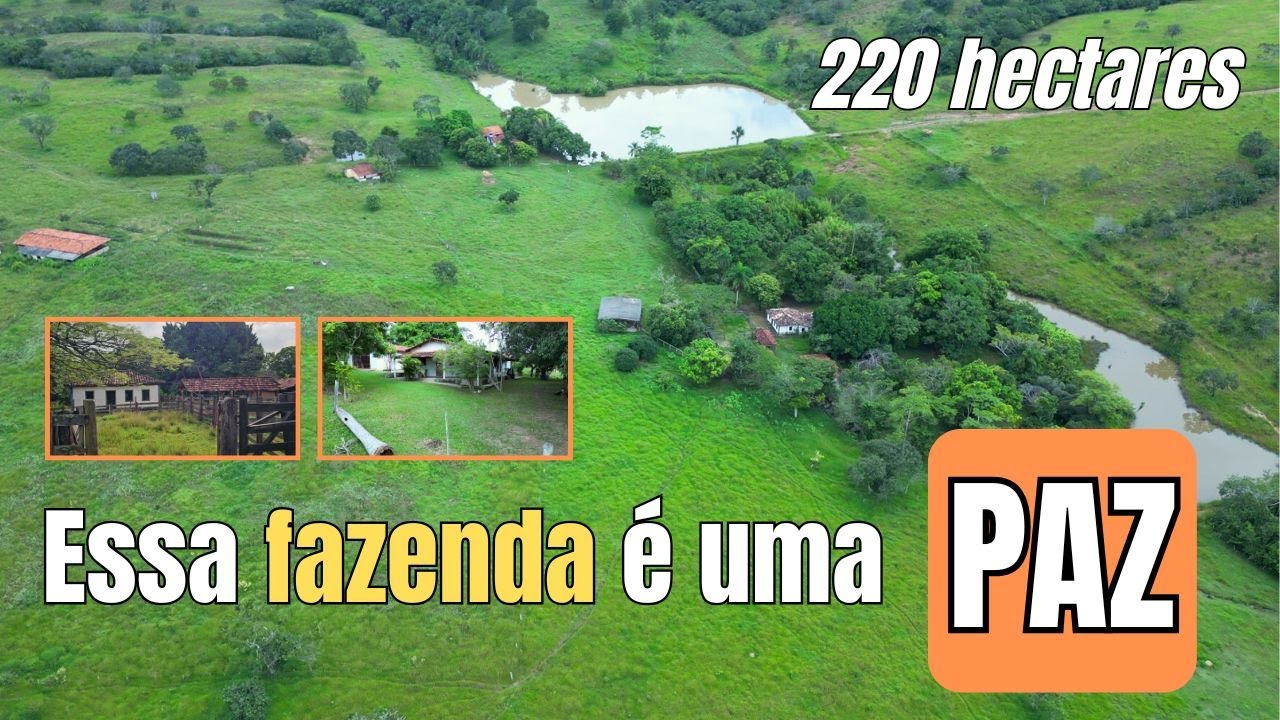 Essa fazenda é um refúgio de paz, e está a venda