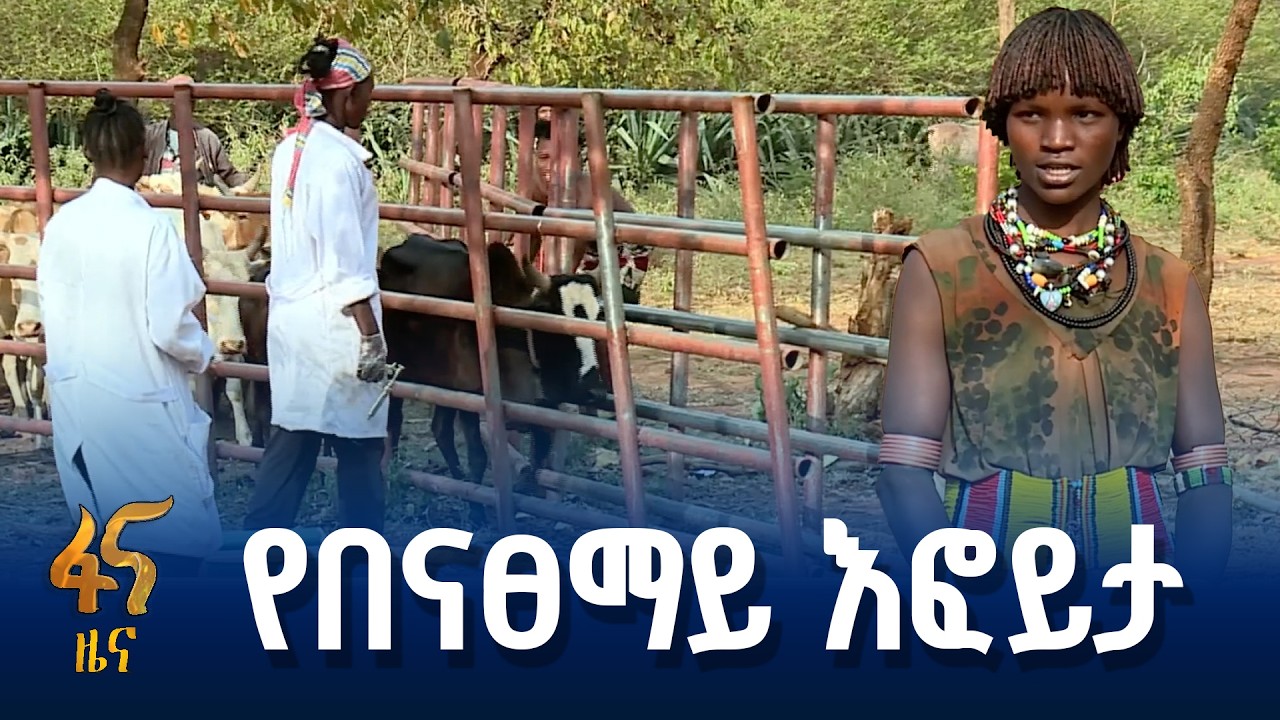 “እንስሳቱ ተርፈዋል”