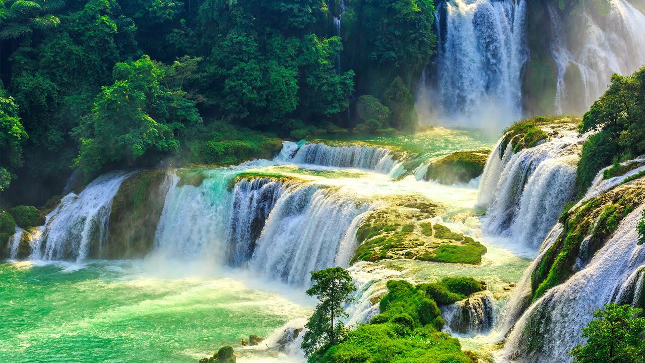 Relaxing Meditation Music - Bird Sounds, Water Sounds, Stress Relief Music, Sleep Music