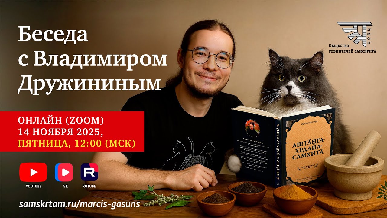 🗣 Беседа с Владимиром Дружининым (2025)
