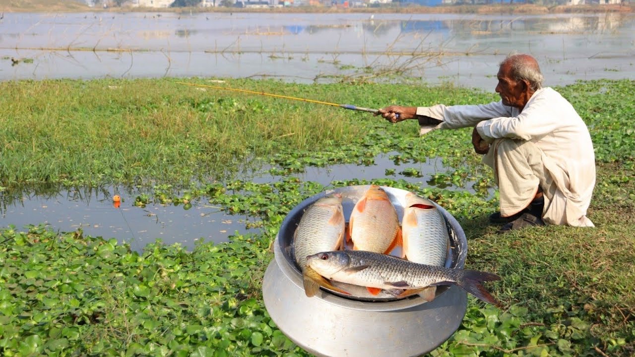 Fishing Video || The old grandfather's fishing technique is still different from everyone else's