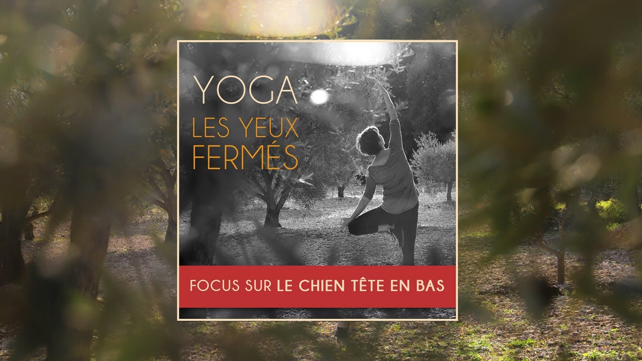 E36 Yoga : Focus sur Adho Mukha Svanasana, la posture du chien tête en bas