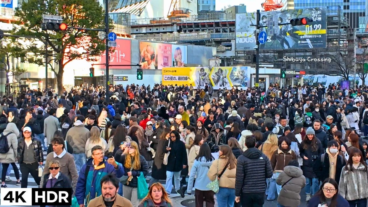 😆It’s 6°C! Don’t Catch a Cold Dressed Like That! @ Shibuya Crossing in Shibuya Tokyo Jp  2026 4kHDR