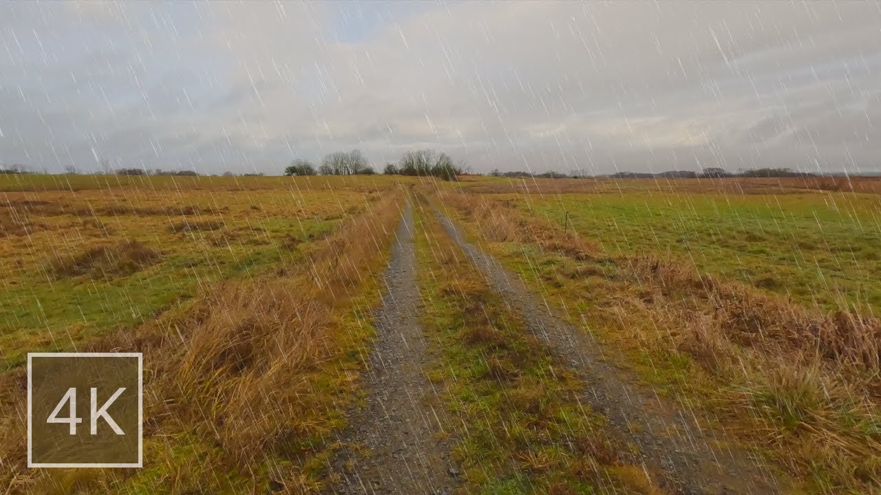Relaxing Rain Walk in Beautiful Landscape ☔ Rainsounds on Umbrella - 4K ASMR