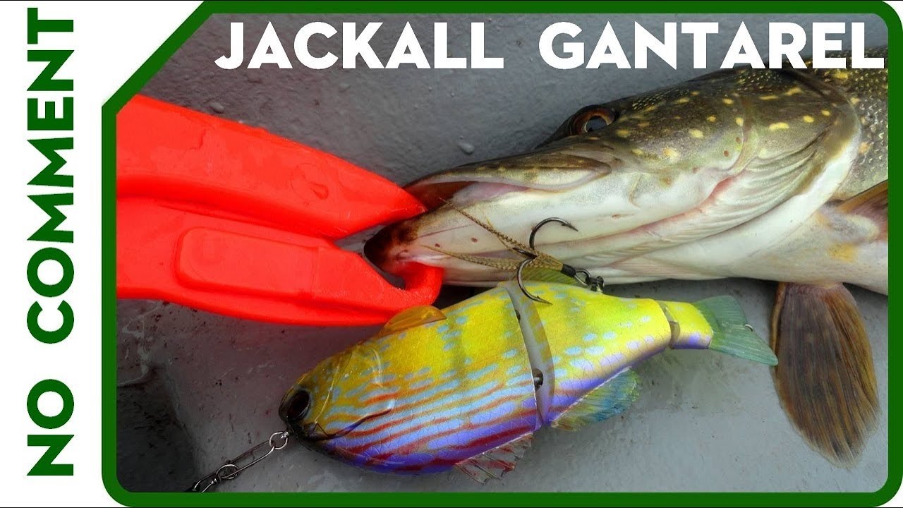 ЩУКА против JACKALL Gantarel. Ловля щуки на свим-бейт.