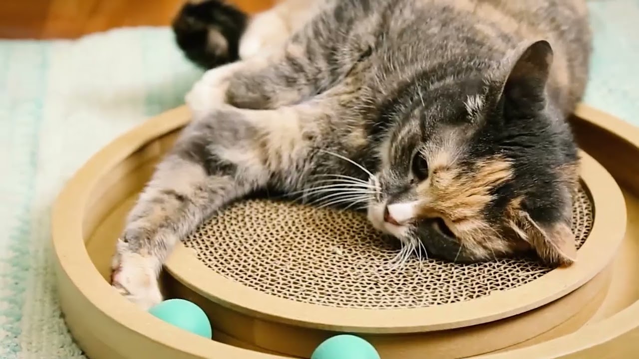 Best Pet Supplies Scratch and Spin Cat Scratcher Pad with Interactive Spinning Balls for Active Play
