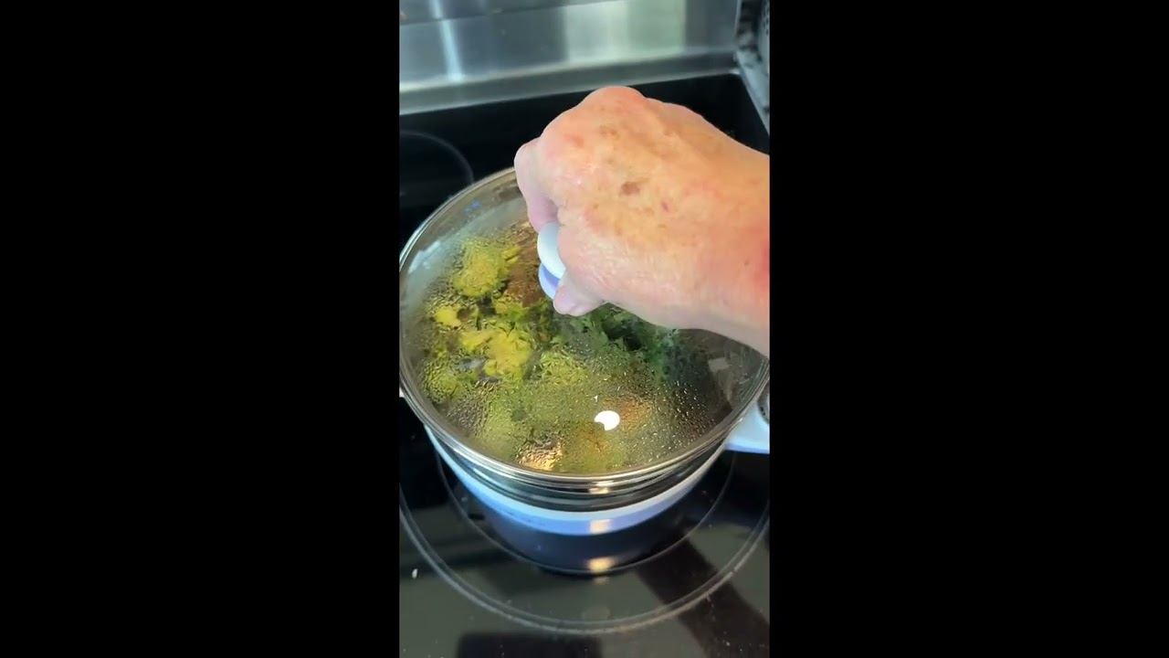 Dezin Hot Pot Electric with Steamer Easy Meal