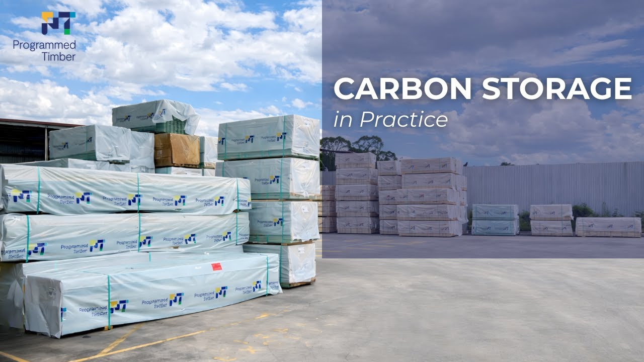 Sustainable Timber in Practice: Carbon Storage and Smarter Supply