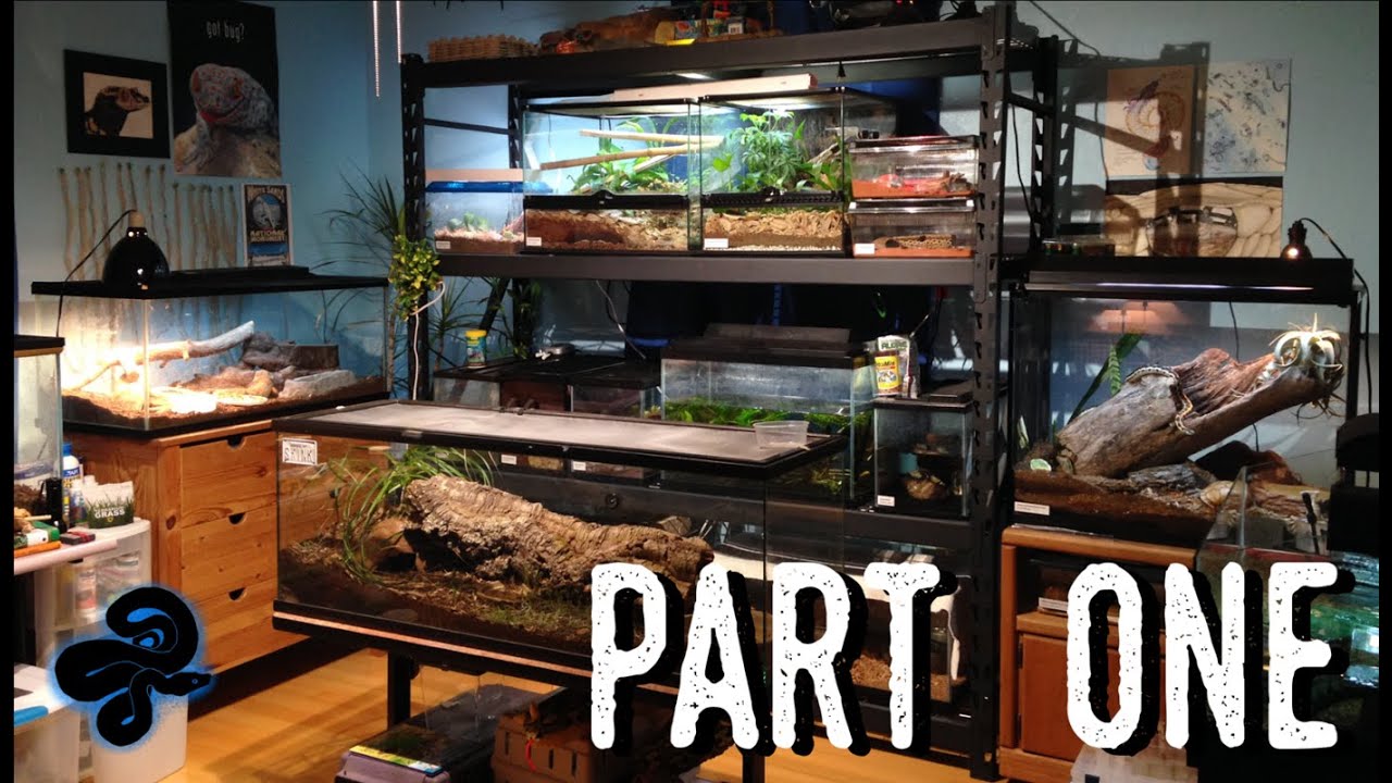 Reptile Room Tour May 2016 | Over a DOZEN New Animals!