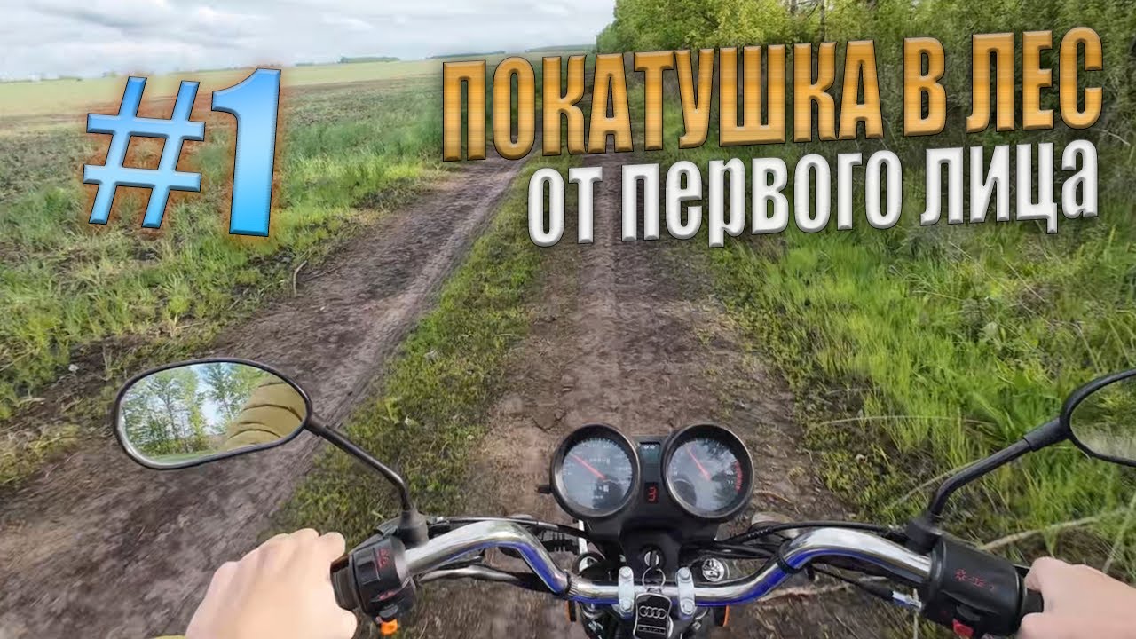 Покатушка в лес от первого лица на альфе #1.