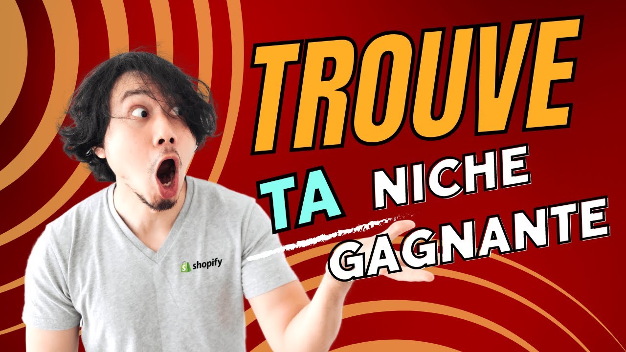 Comment Choisir la Niche Parfaite pour votre Boutique Shopify et Réussir en E-Commerce