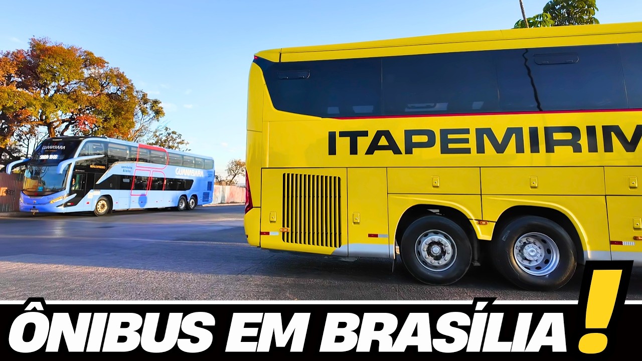 RODOVIÁRIA DE BRASÍLIA | ÔNIBUS DE TODO O BRASIL SE ENCONTRAM AQUI!! GRANDE MOVIMENTO QUASE DE NOITE
