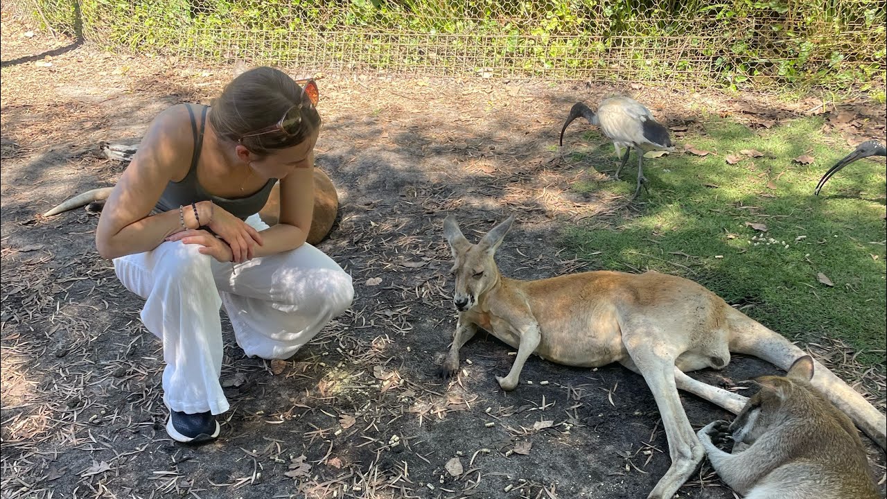 Ein Wochenende in Australien 🇦🇺☀️