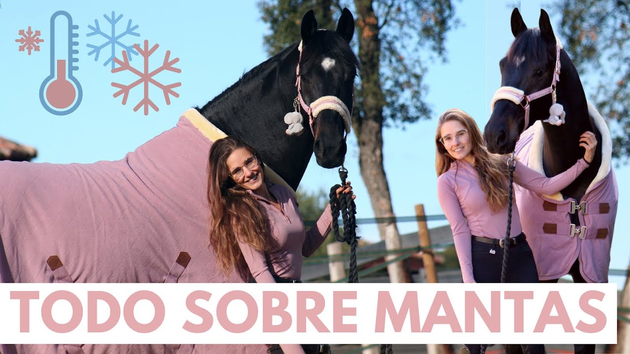 Todo sobre mantas para caballos, tipos y medidas