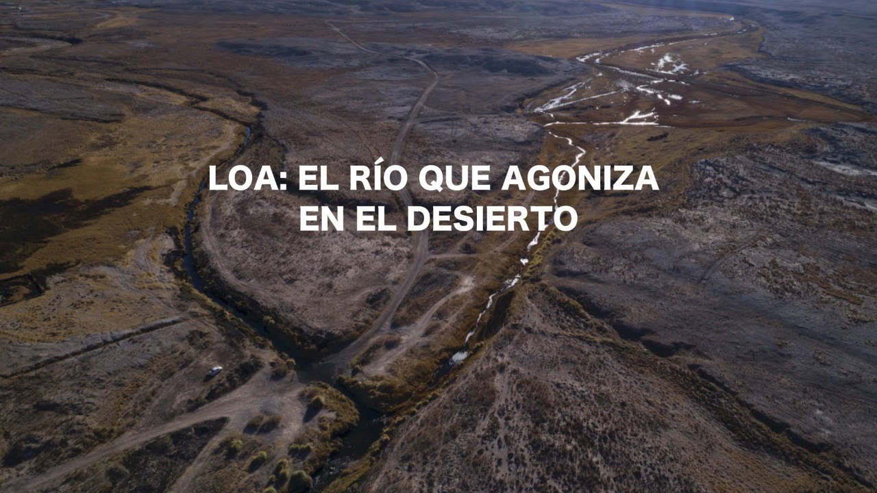 Loa: el río que agoniza en el desierto