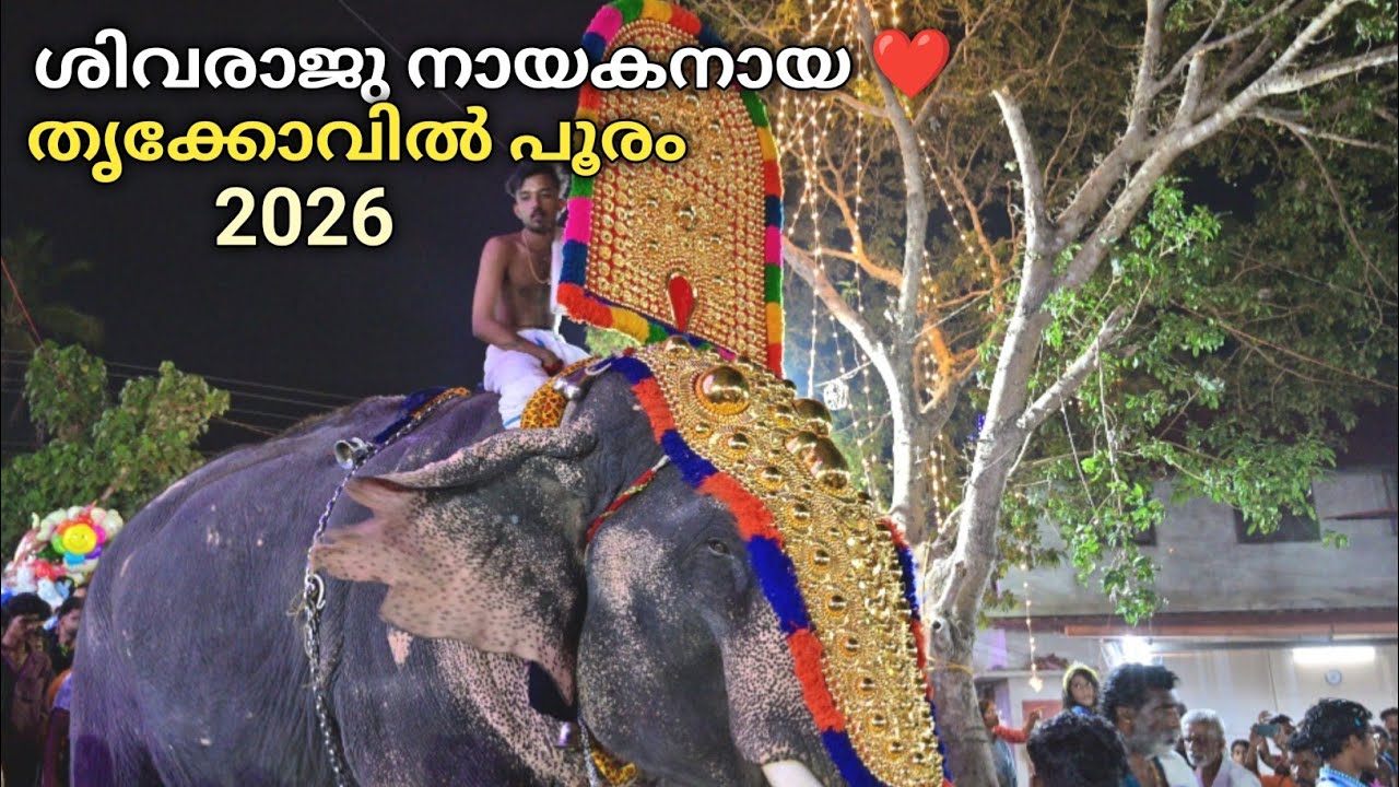 തൃക്കോവിൽ പൂരം 2026 | Thrikkovil Sree Mahavishnu temple Kalluvathukkal Kollam |