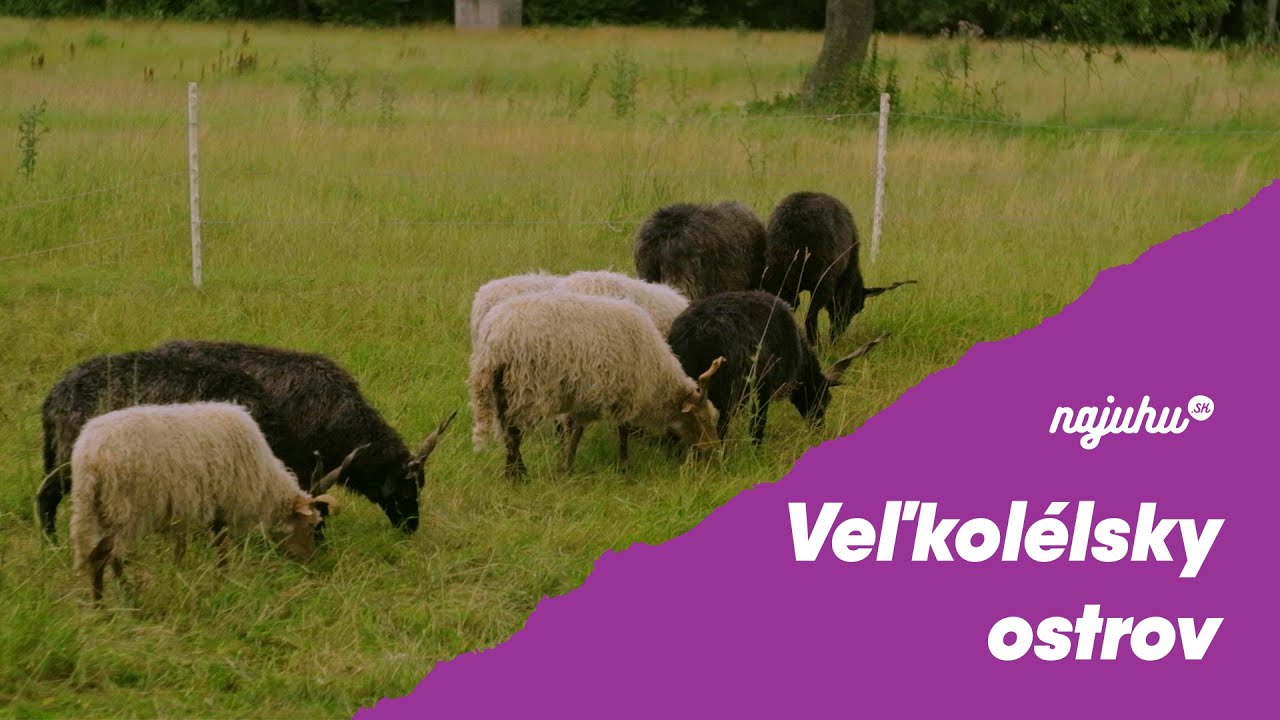 Veľkolélsky ostrov predstavuje súlad medzi človekom a prírodou I #2 Zaži zábavu na južnom Slovensku