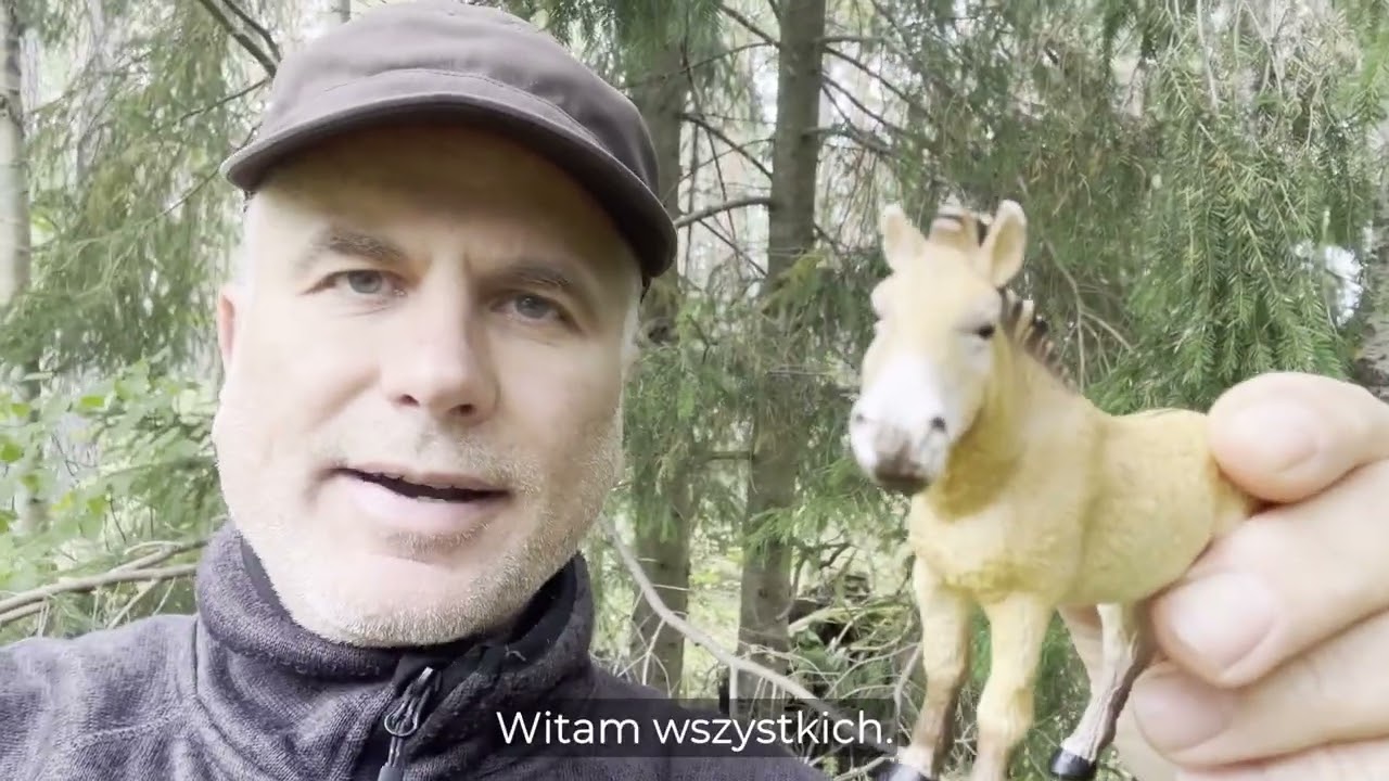 Nagroda SFP dla ZOLTANA TOROK  /Festiwal Puchalskiego/