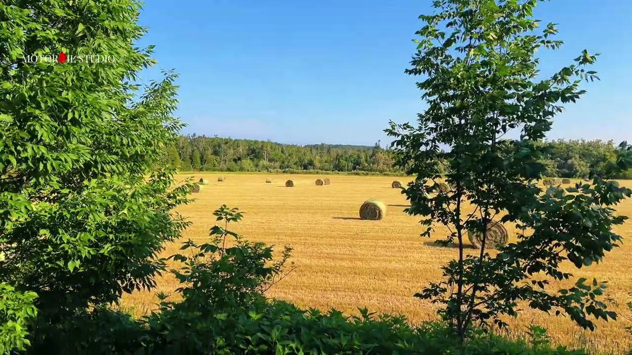 Country Living. Shelburne &bull; Ontario &bull; Canada 