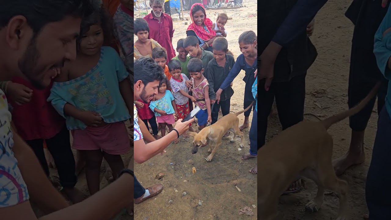 Dog Challenge || #challenge #dogchallenge #eatingChallenge