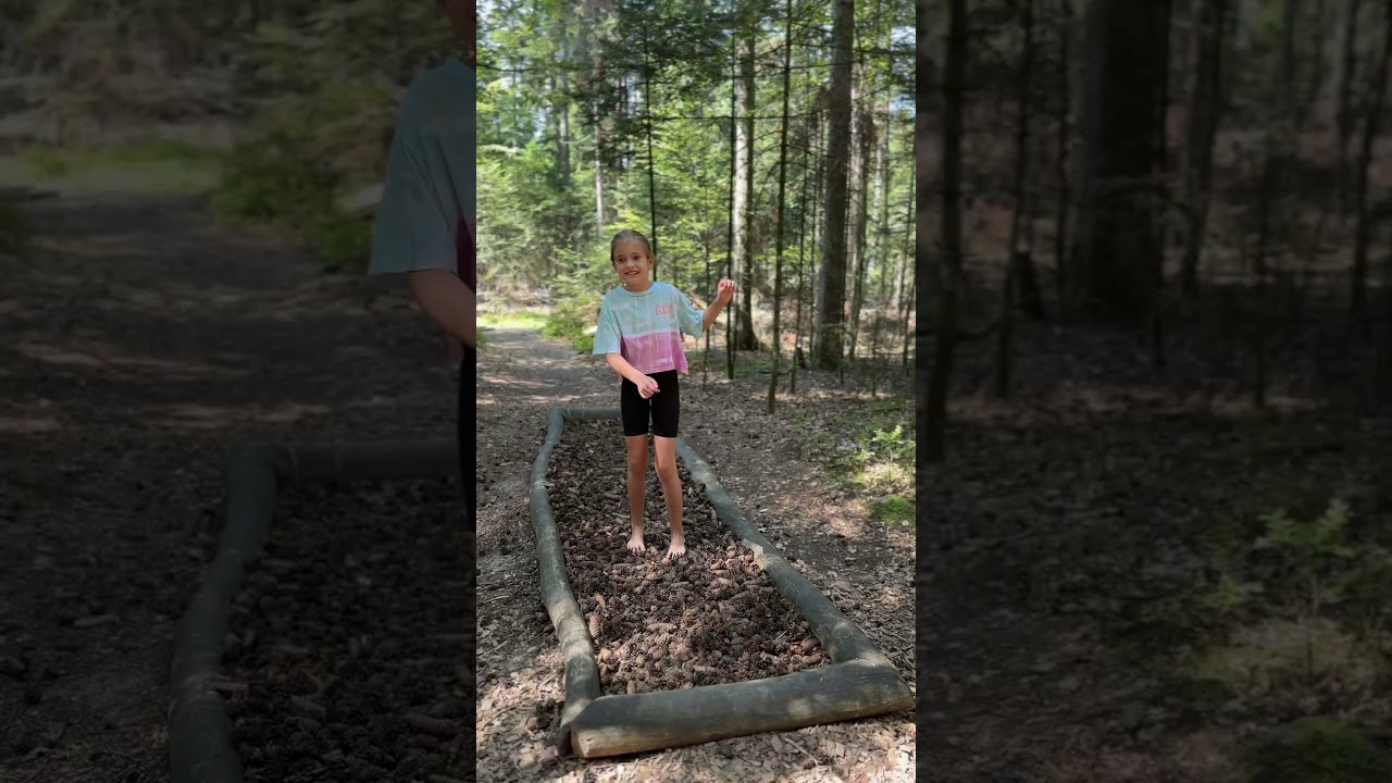 Wir laufen auf dem Barfu&szlig;pfad 🦶#wald #spa&szlig; #familie