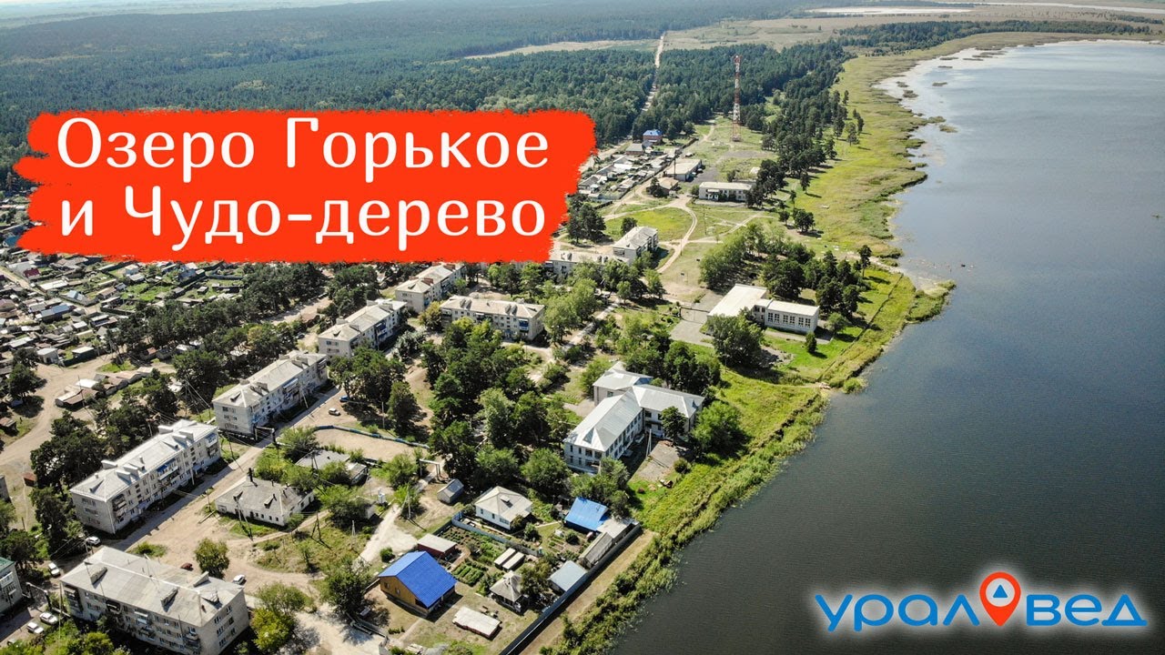 Целебное озеро Горькое и Чудо-дерево. Путешествуем по Курганской области | Ураловед